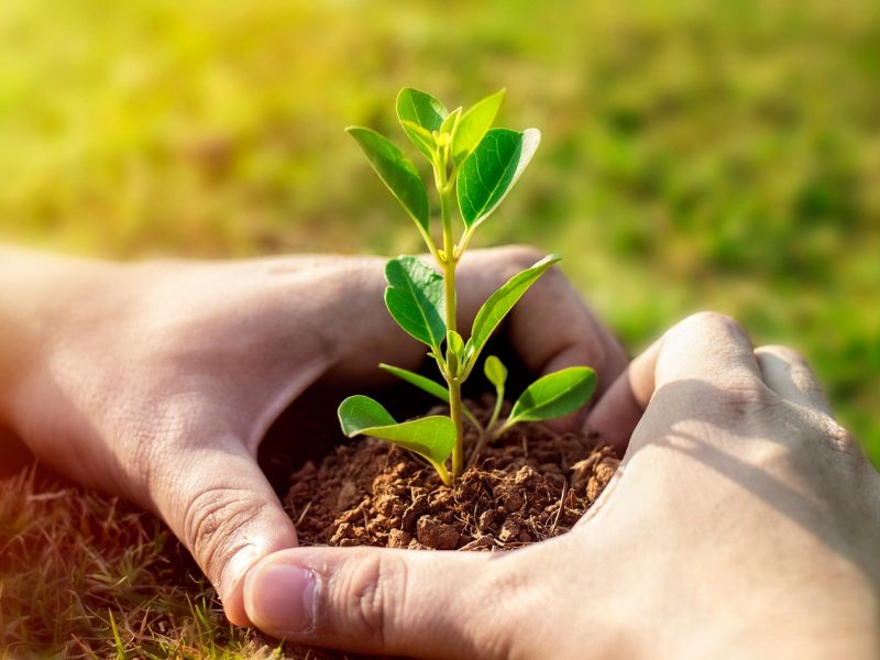 New Man Evangelism New Man Evangelism